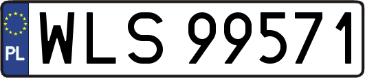 WLS99571