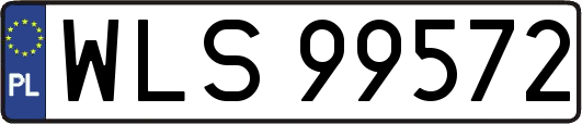 WLS99572