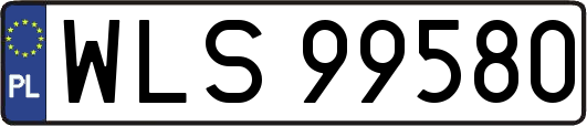 WLS99580