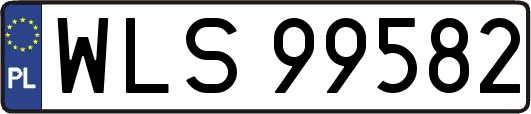 WLS99582