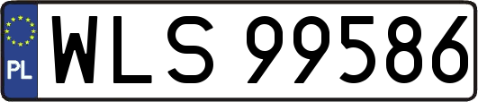 WLS99586