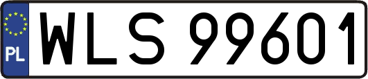 WLS99601