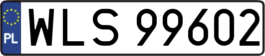 WLS99602