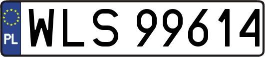 WLS99614
