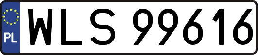 WLS99616