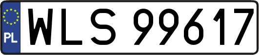 WLS99617