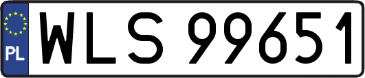 WLS99651