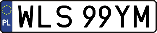 WLS99YM