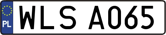 WLSA065