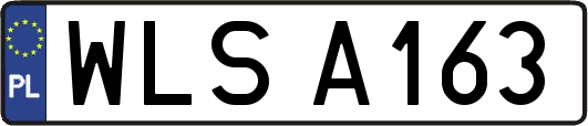 WLSA163