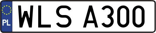 WLSA300