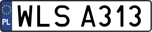 WLSA313