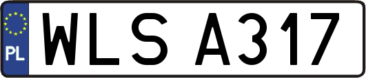 WLSA317