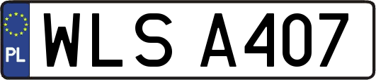 WLSA407