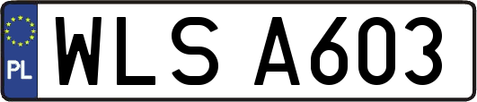 WLSA603