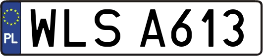 WLSA613