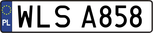 WLSA858