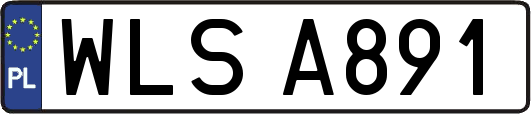 WLSA891