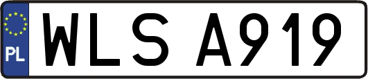 WLSA919