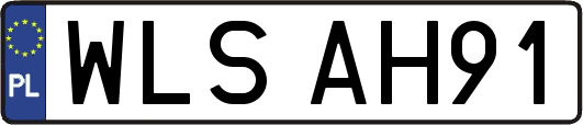 WLSAH91