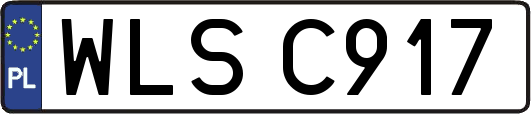WLSC917