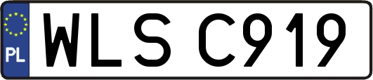 WLSC919
