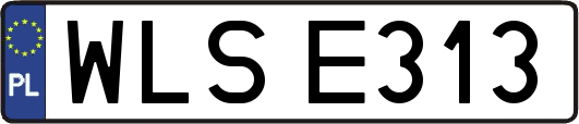 WLSE313