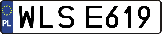 WLSE619