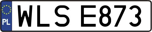 WLSE873