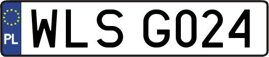 WLSG024
