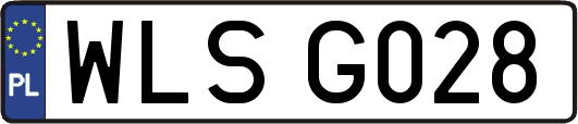 WLSG028