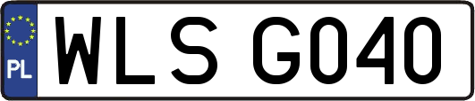 WLSG040