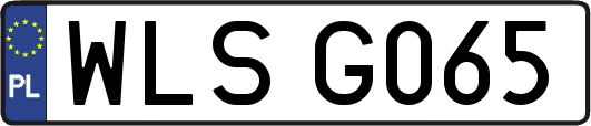 WLSG065