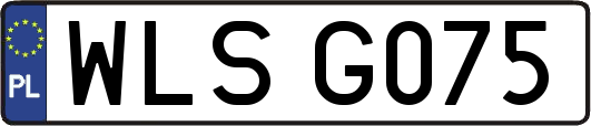 WLSG075