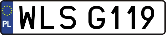 WLSG119