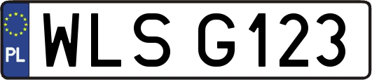WLSG123
