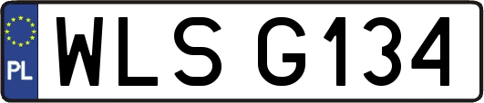 WLSG134