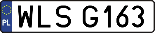 WLSG163