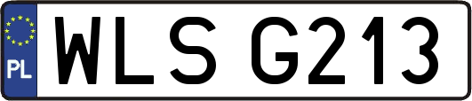 WLSG213