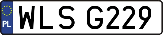 WLSG229