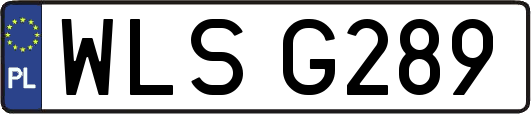 WLSG289