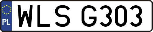 WLSG303