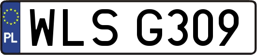 WLSG309