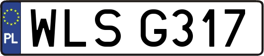 WLSG317