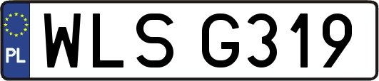 WLSG319