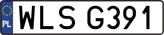 WLSG391