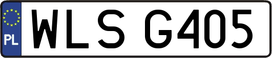 WLSG405