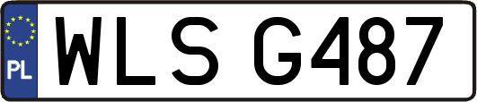 WLSG487