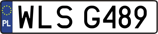 WLSG489