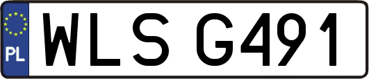 WLSG491